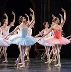 Classical Russian-Style Hooped Tutu Kit