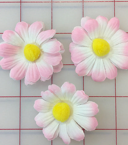 Flowers - Daisy Pink White 3-Pack