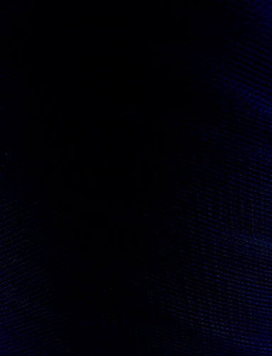 Tulle - 60-inches Wide Navy