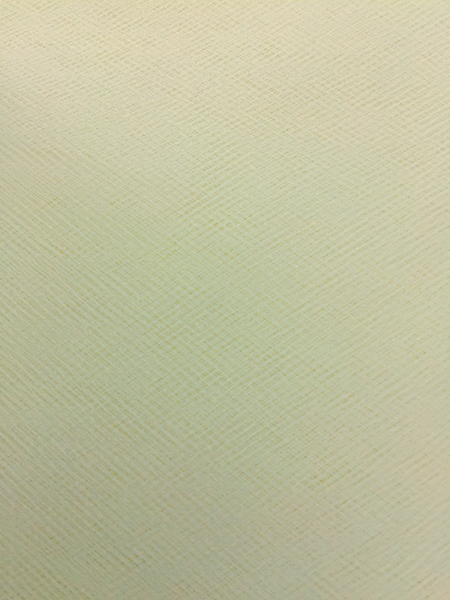 Glimmer Tulle - 108-inches Wide Ivory
