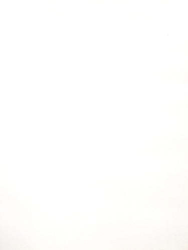 Tulle - 108-inches Wide White
