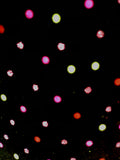 Velveteen - 50-inches Wide Black with Multi-Color Polka Dots Special Purchase! Close-Out