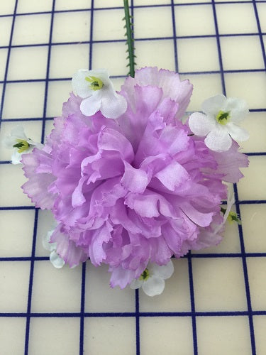 Flowers - Carnation Orchid  with White Flowers