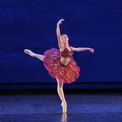 Advanced Tutu Course Level 3: Vintage French Style Tutu