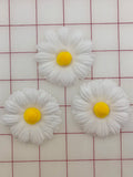 Flowers - Daisy White and Yellow 3-Pack