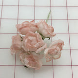 Flowers - Mini Roses "Old Rose" Pink