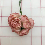 Flowers - Mini Roses "Colonial Rose" Pink