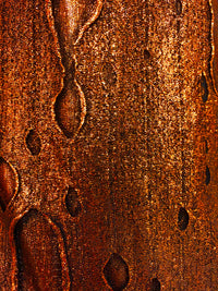Misc Stretch - 58-inches Wide Metallic Distressed Lycra Copper Close-Out
